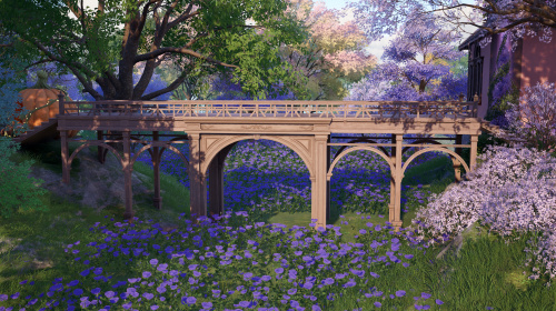 Wooden Bridge