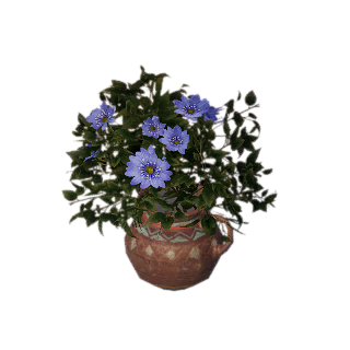 Colorful Vase